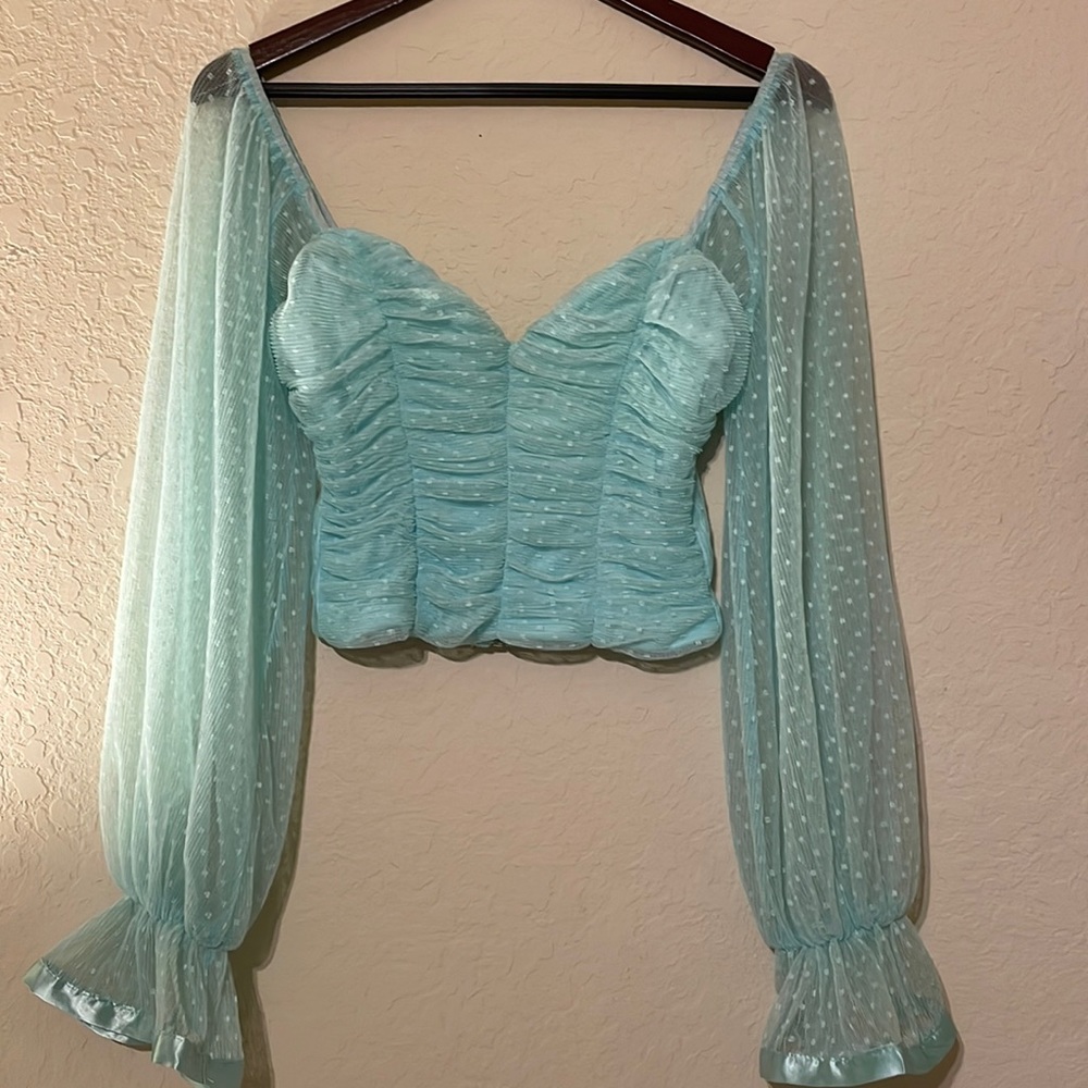 Mesh Swiss dot cropped blouse